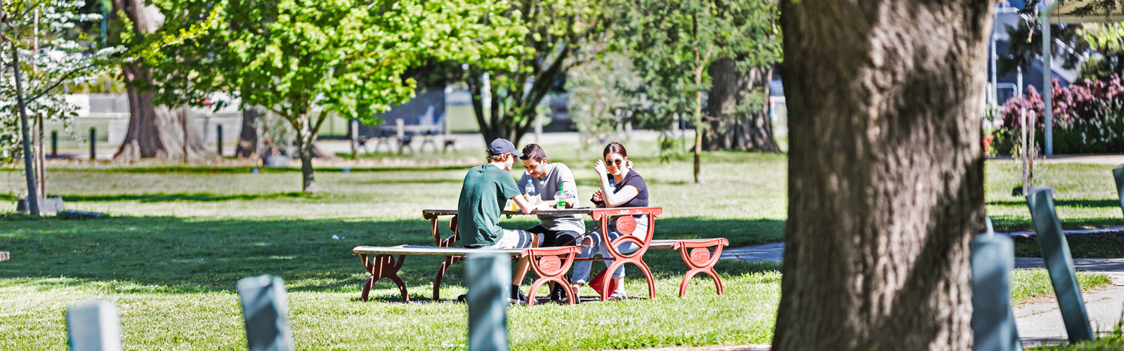 PicnicTable1600_500_1