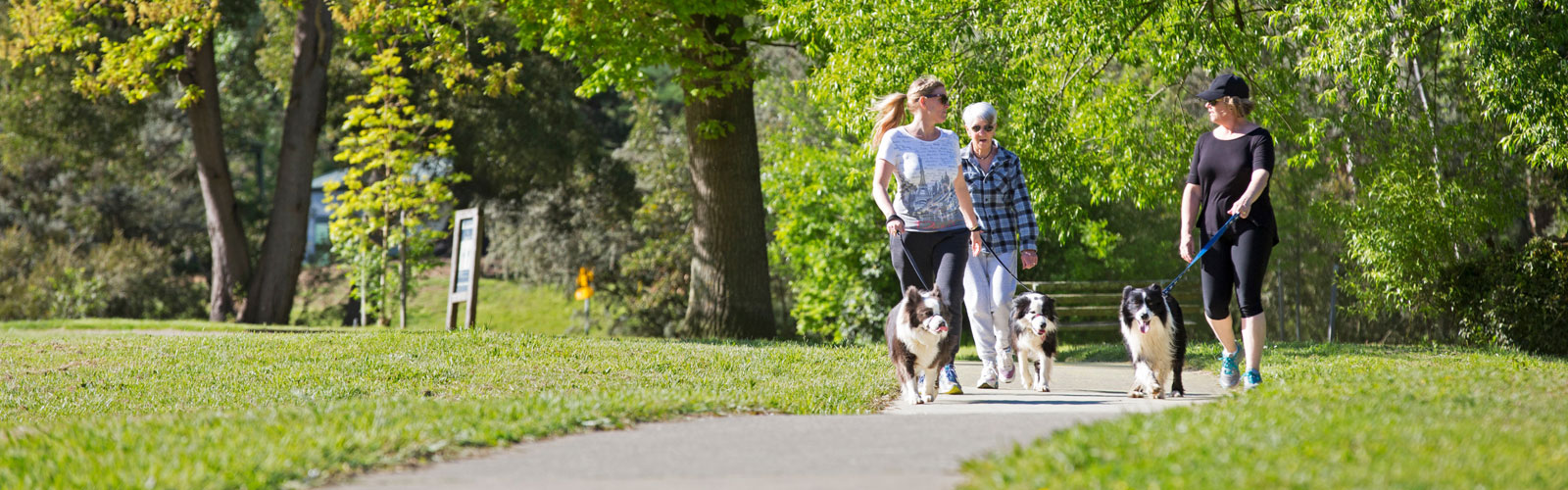 Womenwalkingdogs1600_500